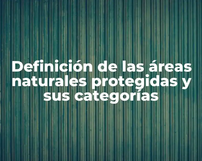 Definición de las áreas naturales protegidas y sus categorías