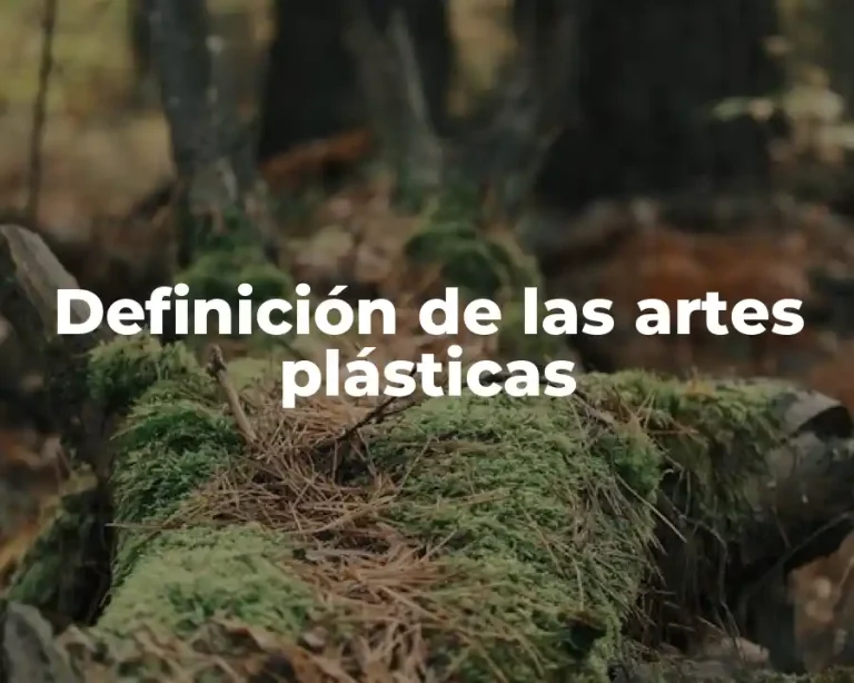 Definición de las artes plásticas
