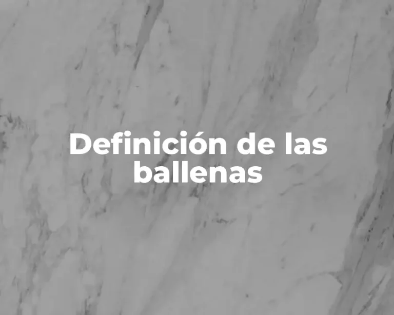 Definición de las ballenas