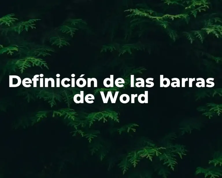 Definición de las barras de Word