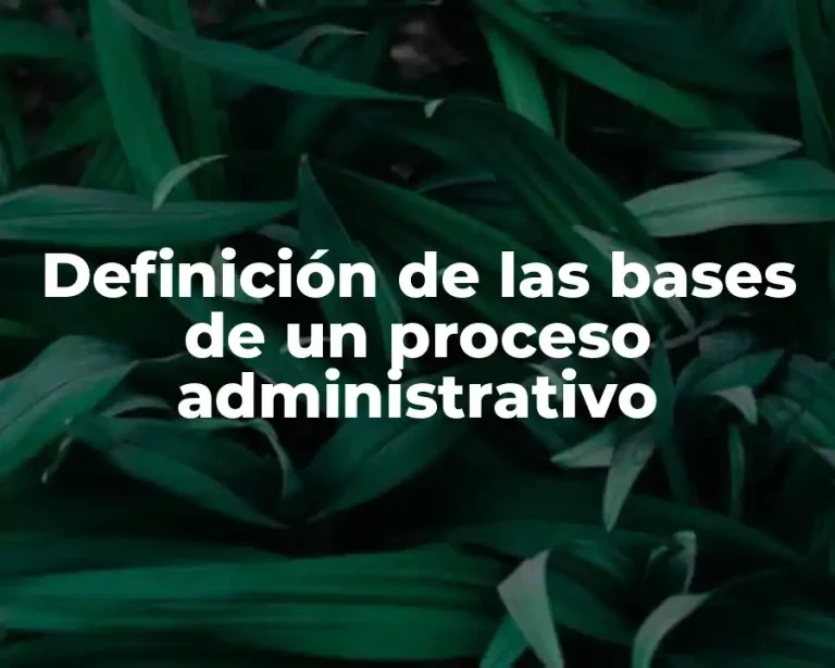 Definición de las bases de un proceso administrativo