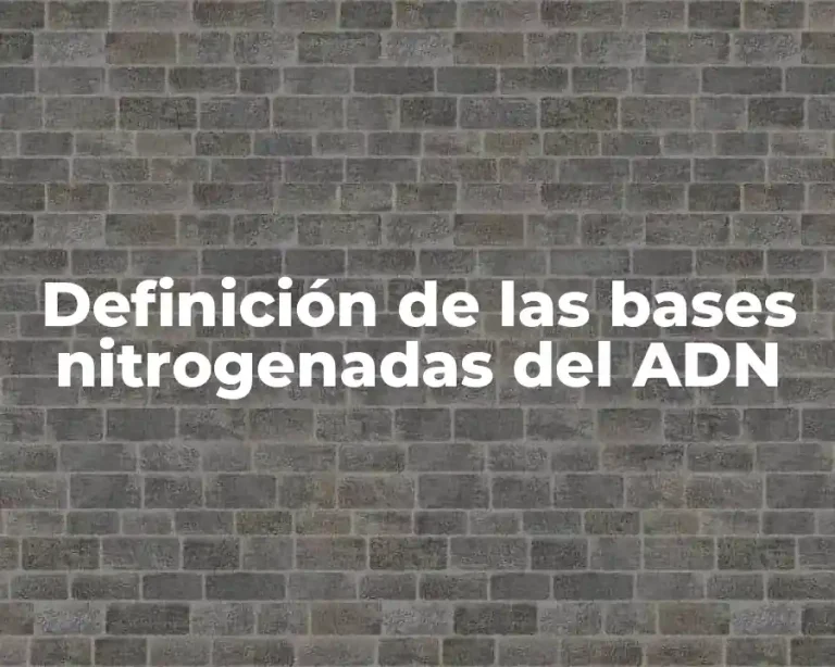 Definición de las bases nitrogenadas del ADN