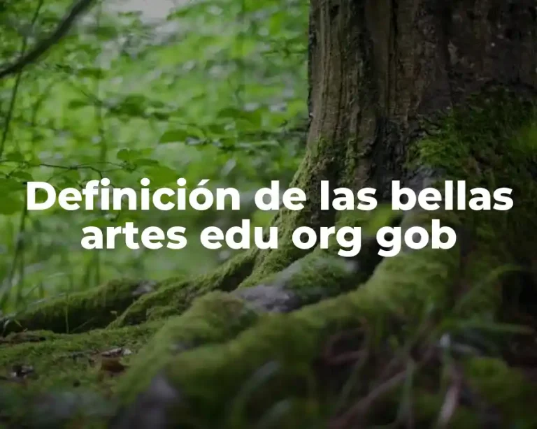 Definición de las bellas artes edu org gob