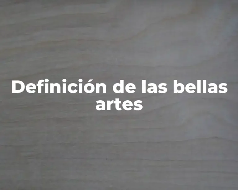 Definición de las bellas artes
