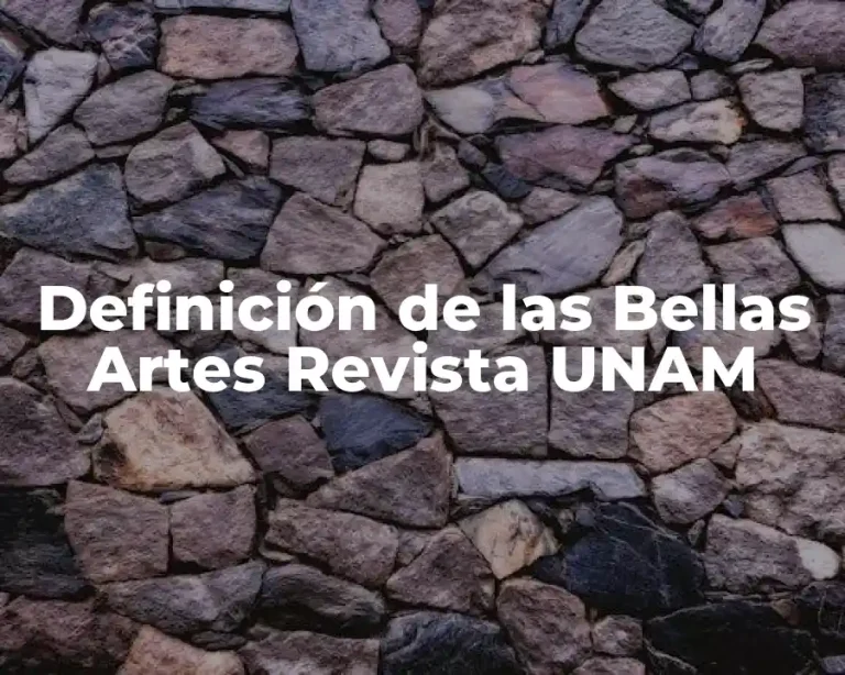 Definición de las Bellas Artes Revista UNAM