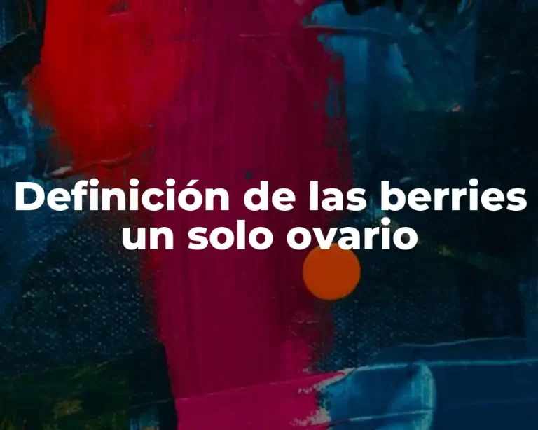 Definición de las berries un solo ovario