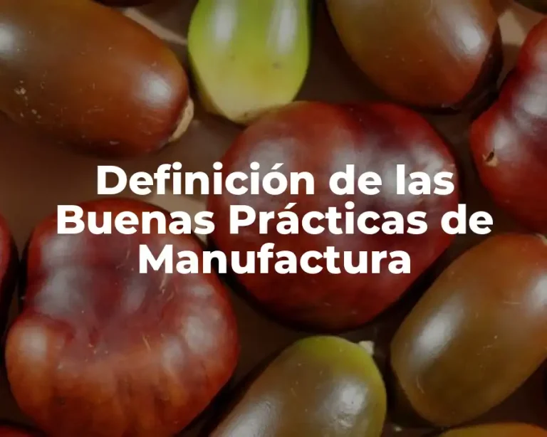 Definición de las Buenas Prácticas de Manufactura