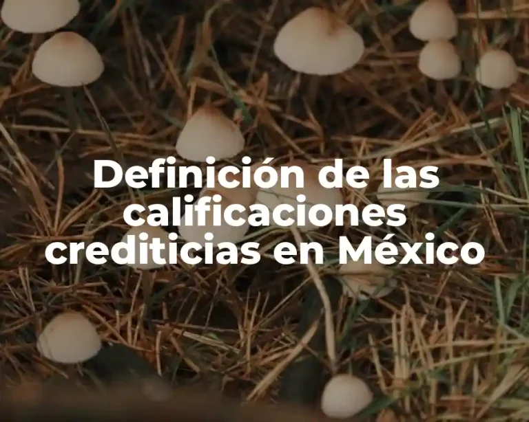 Definición de las calificaciones crediticias en México