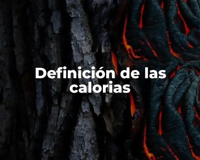 Definición de las calorias