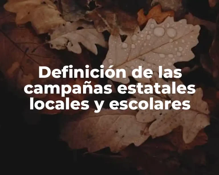 Definición de las campañas estatales locales y escolares