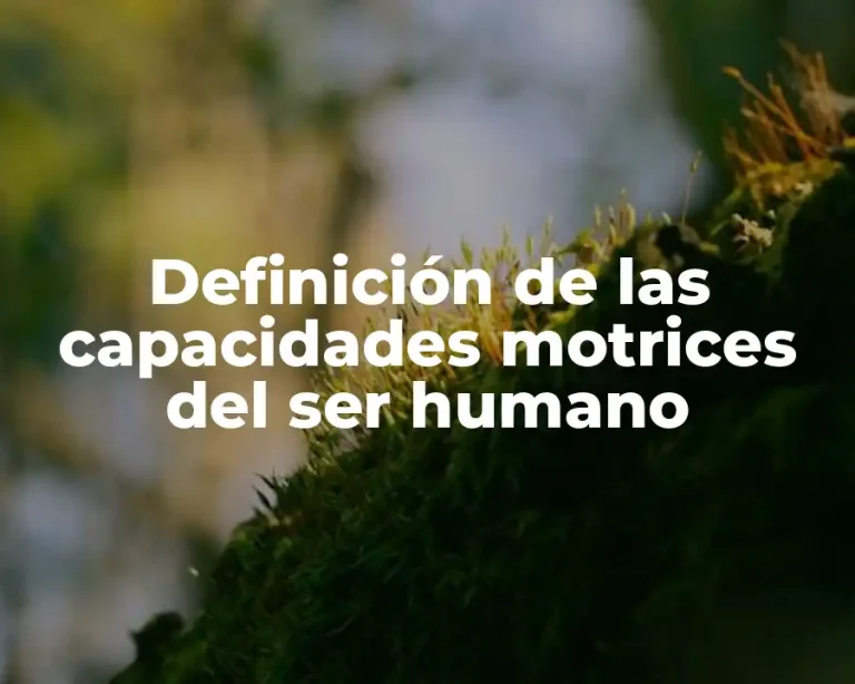 Definición de las capacidades motrices del ser humano