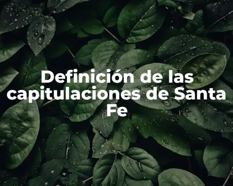 Definición de las capitulaciones de Santa Fe