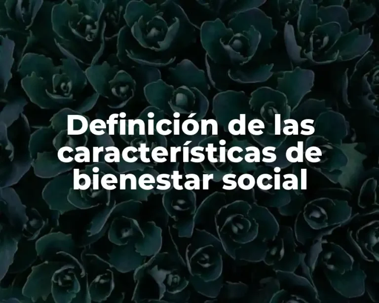 Definición de las características de bienestar social