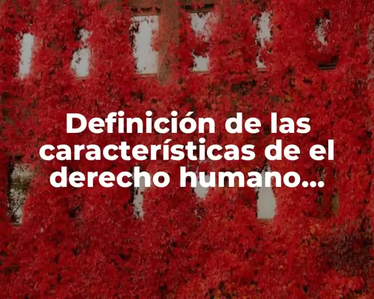 Definición de las características de el derecho humano compartido