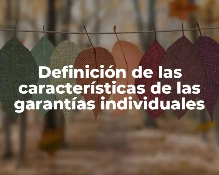 Definición de las características de las garantías individuales