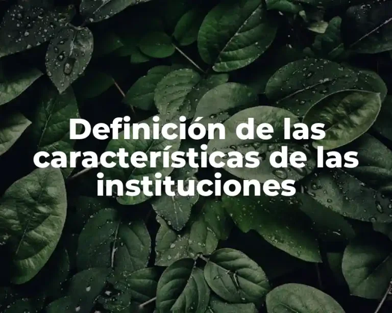 Definición de las características de las instituciones