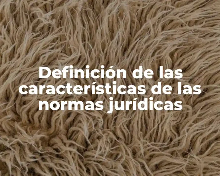 Definición de las características de las normas jurídicas