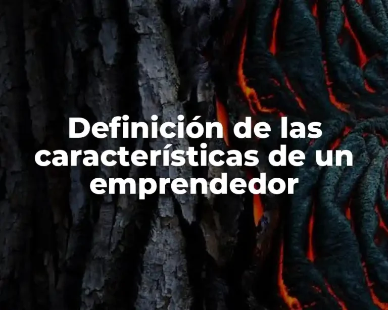 Definición de las características de un emprendedor