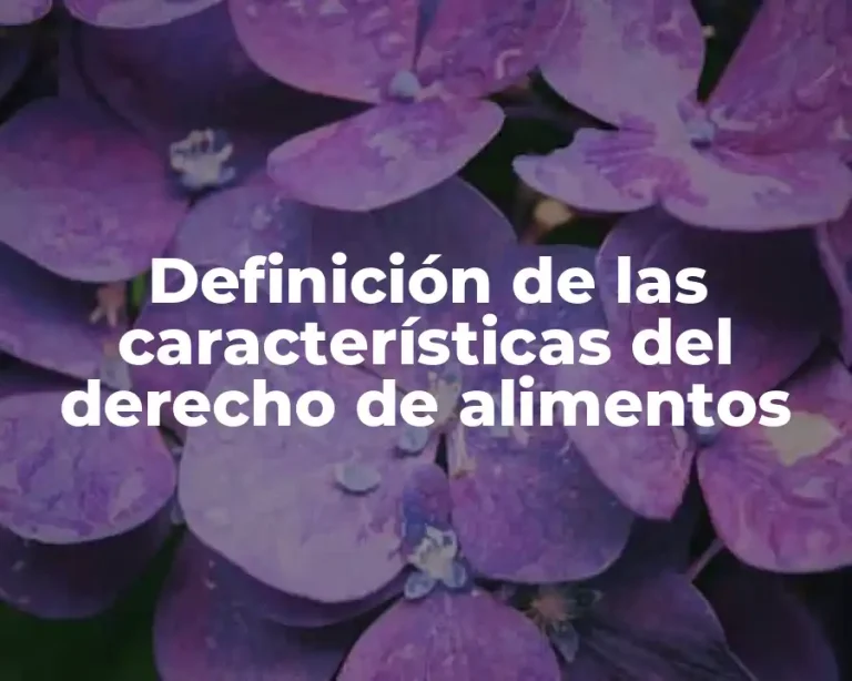 Definición de las características del derecho de alimentos