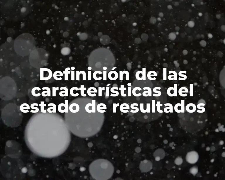 Definición de las características del estado de resultados