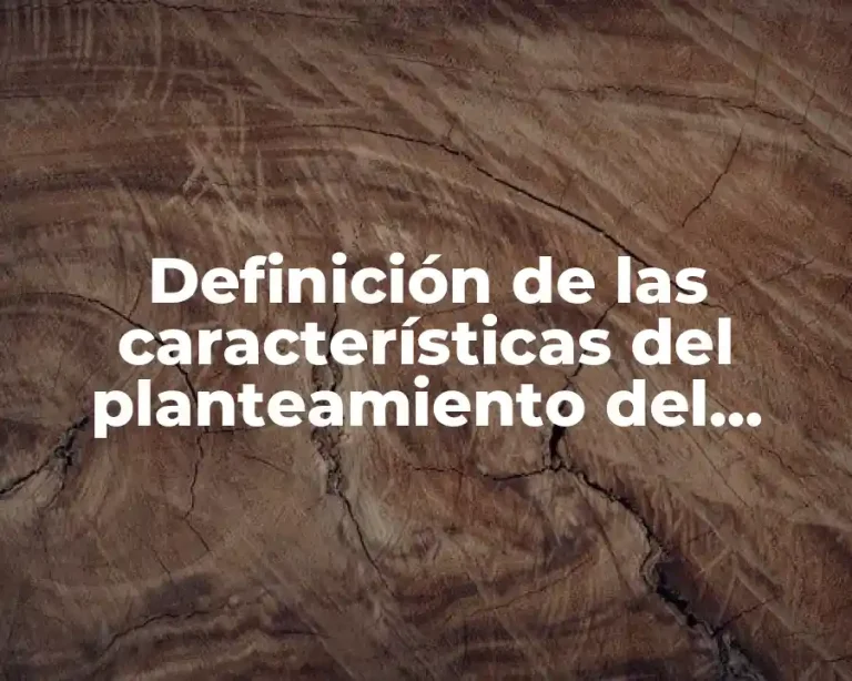 Definición de las características del planteamiento del problema