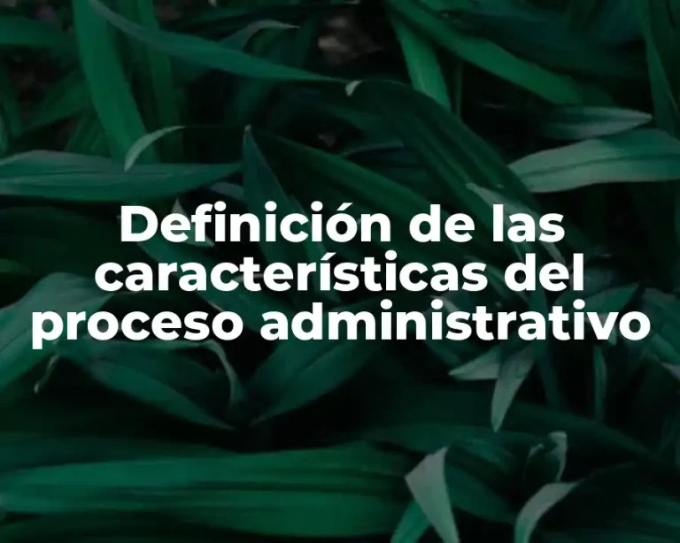 Definición de las características del proceso administrativo