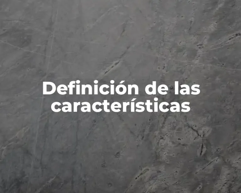 Definición de las características