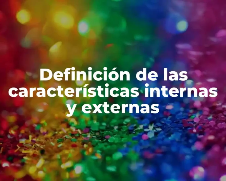 Definición de las características internas y externas