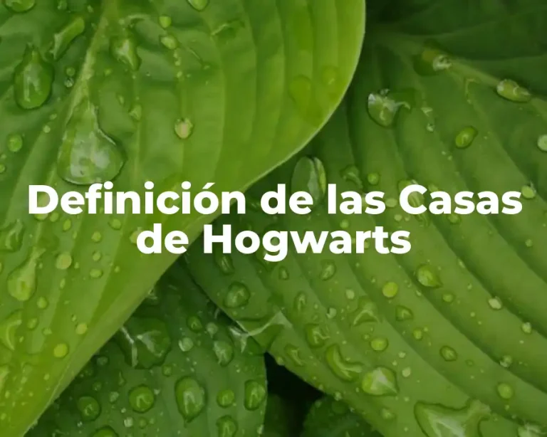 Definición de las Casas de Hogwarts
