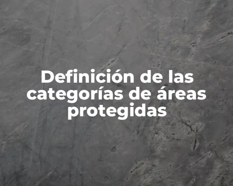 Definición de las categorías de áreas protegidas