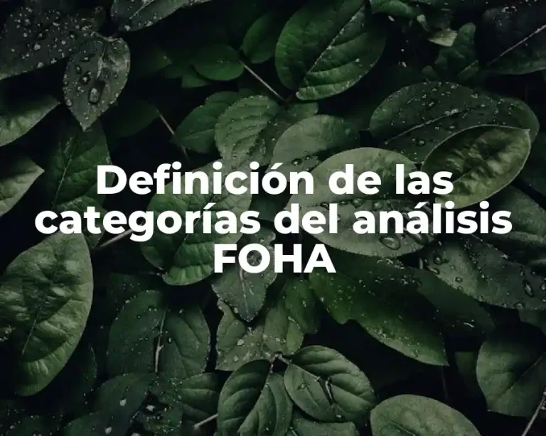 Definición de las categorías del análisis FOHA