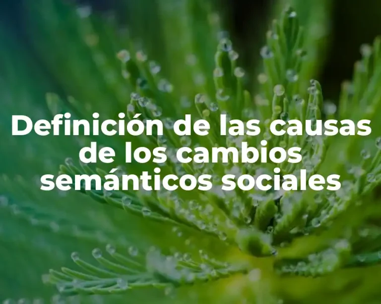 Definición de las causas de los cambios semánticos sociales