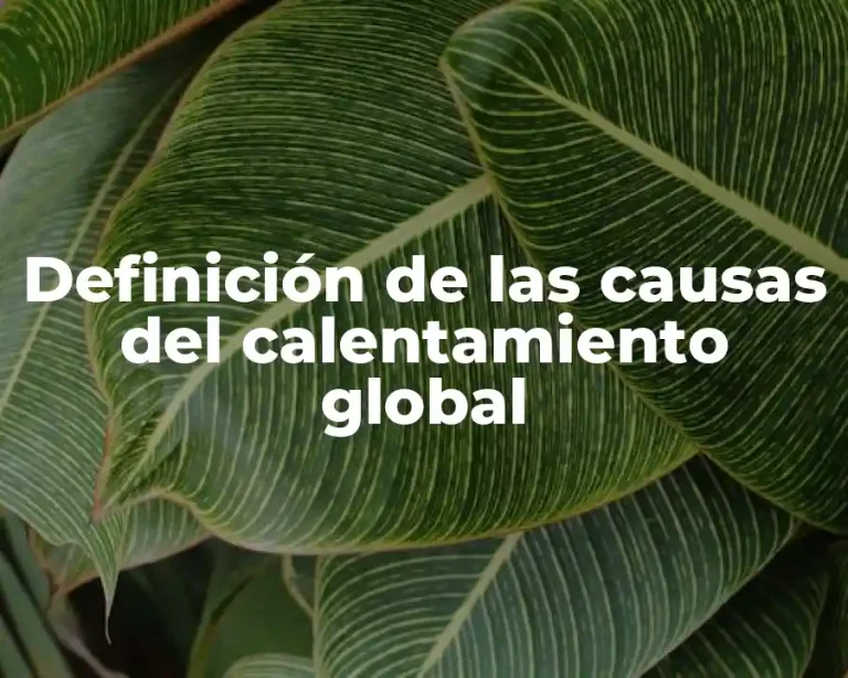 Definición de las causas del calentamiento global