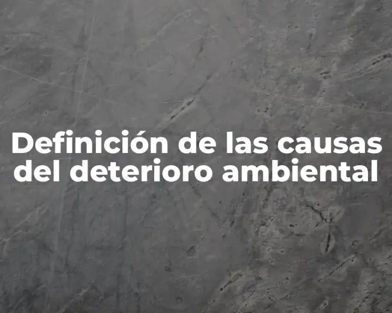 Definición de las causas del deterioro ambiental