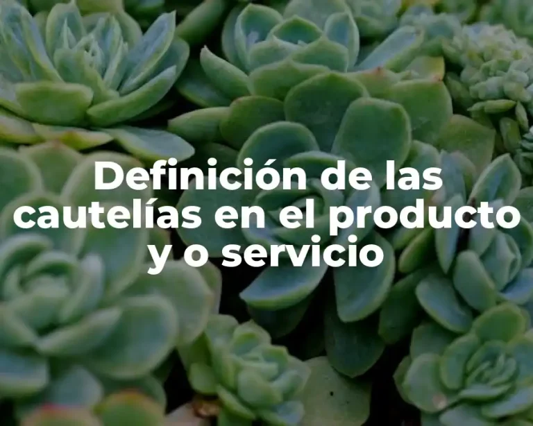 Definición de las cautelías en el producto y o servicio