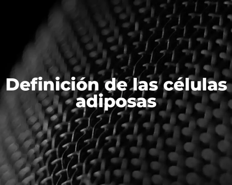 Definición de las células adiposas