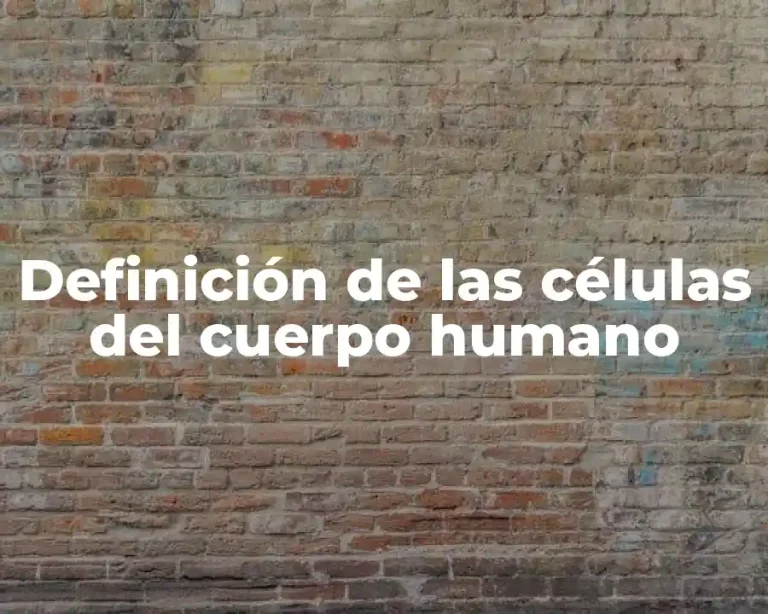 Definición de las células del cuerpo humano