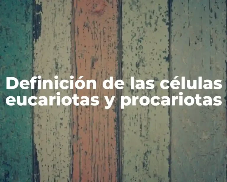 Definición de las células eucariotas y procariotas