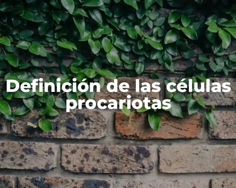 Definición de las células procariotas