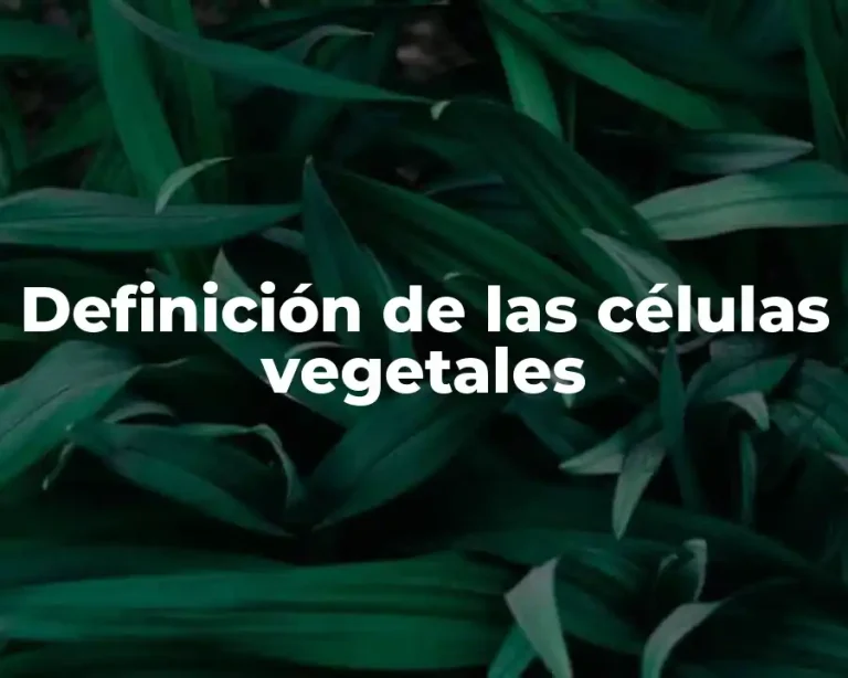 Definición de las células vegetales