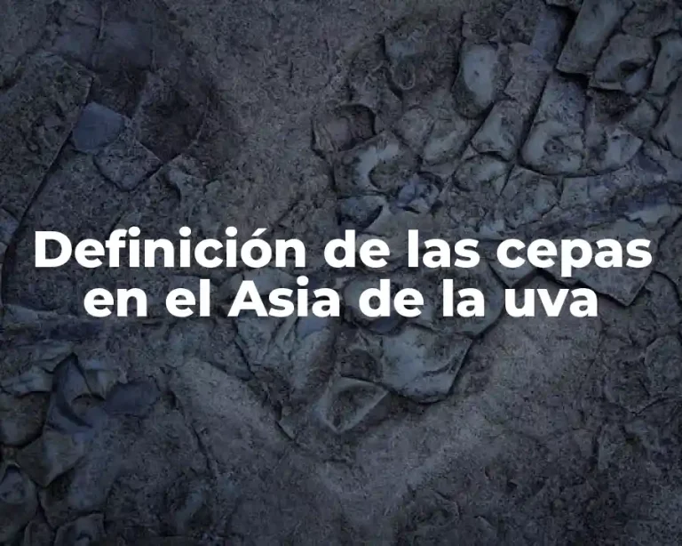 Definición de las cepas en el Asia de la uva