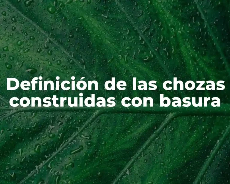 Definición de las chozas construidas con basura
