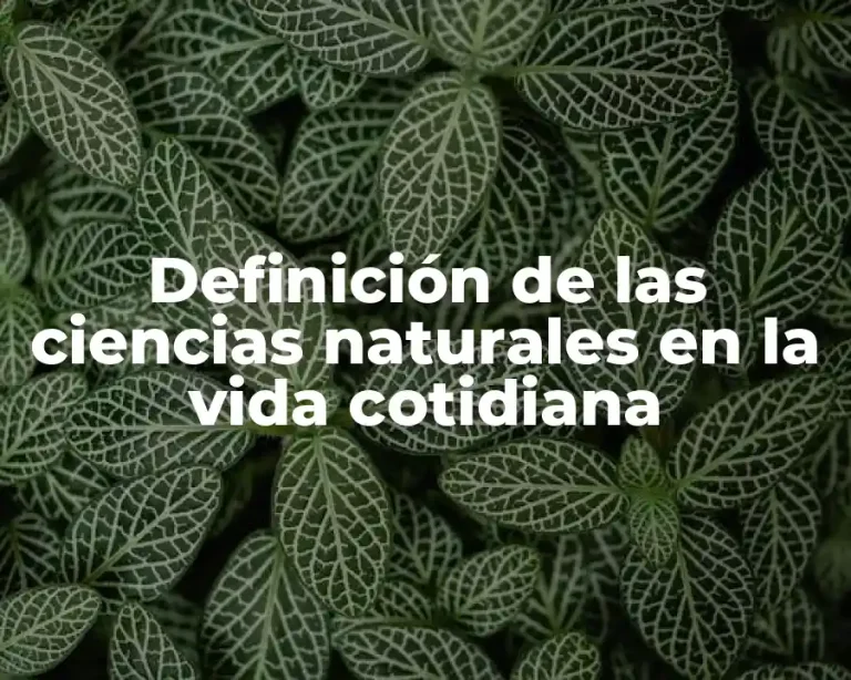 Definición de las ciencias naturales en la vida cotidiana
