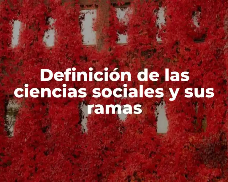 Definición de las ciencias sociales y sus ramas