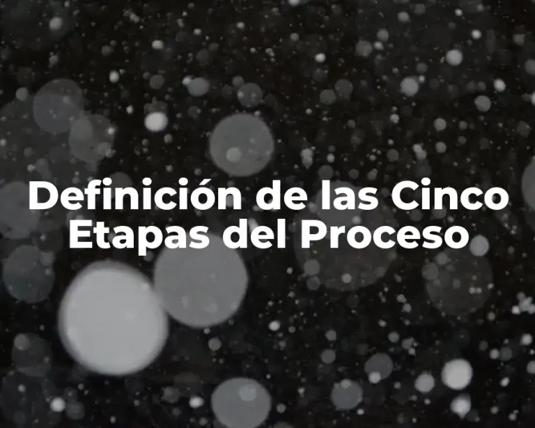 Definición de las Cinco Etapas del Proceso