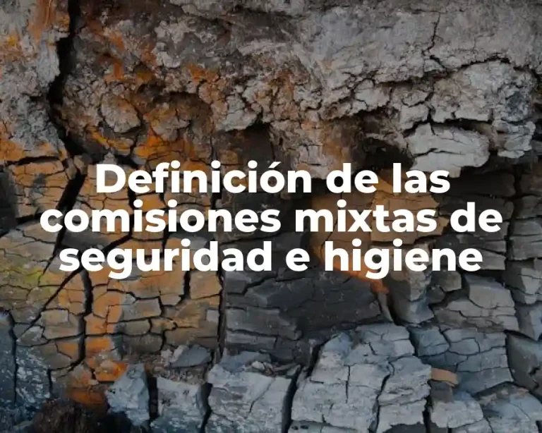 Definición de las comisiones mixtas de seguridad e higiene