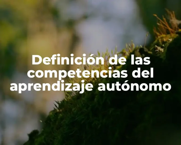Definición de las competencias del aprendizaje autónomo