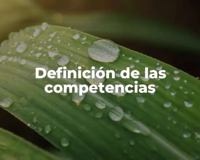 Definición de las competencias