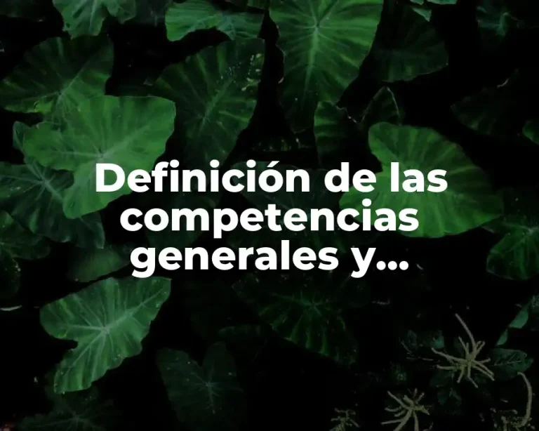 Definición de las competencias generales y disciplinarias