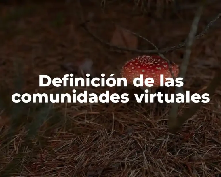 Definición de las comunidades virtuales